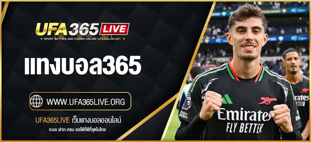 แทงบอล365